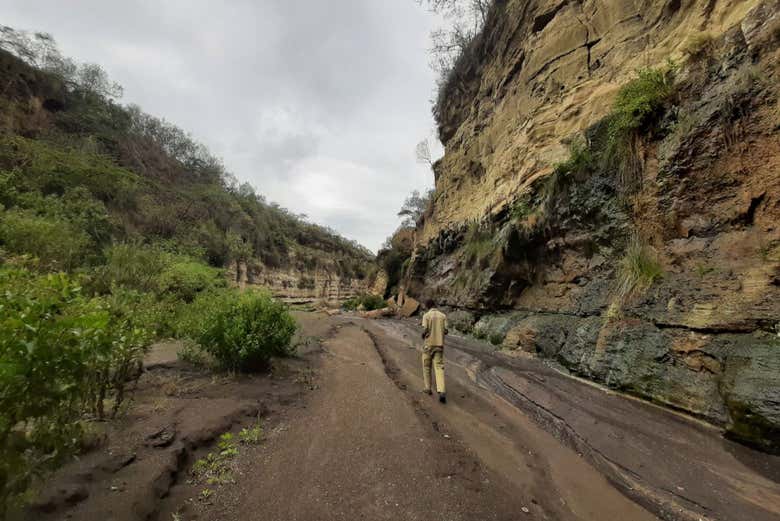 Caminando por el Masái Mara