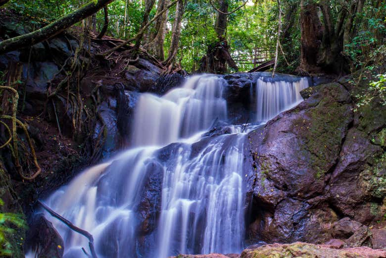Cascade de la forêt de Karura
