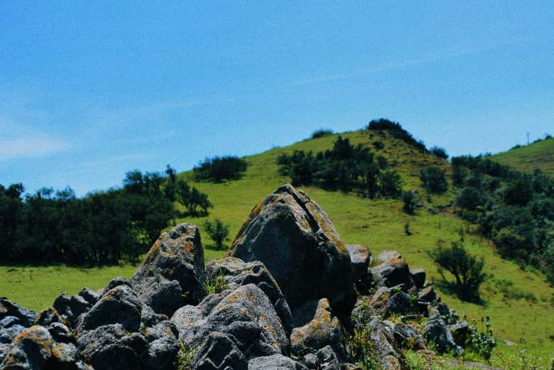 Immerse yourself in beautiful natural surroundings