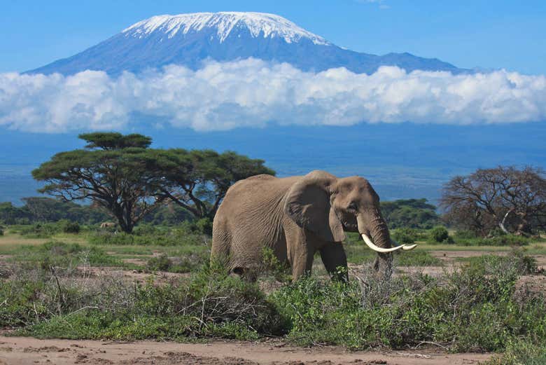 Monte Kilimanjaro
