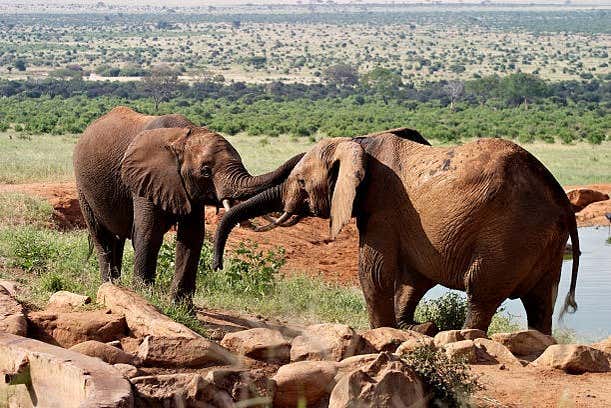 Ce sera une expérience formidable !