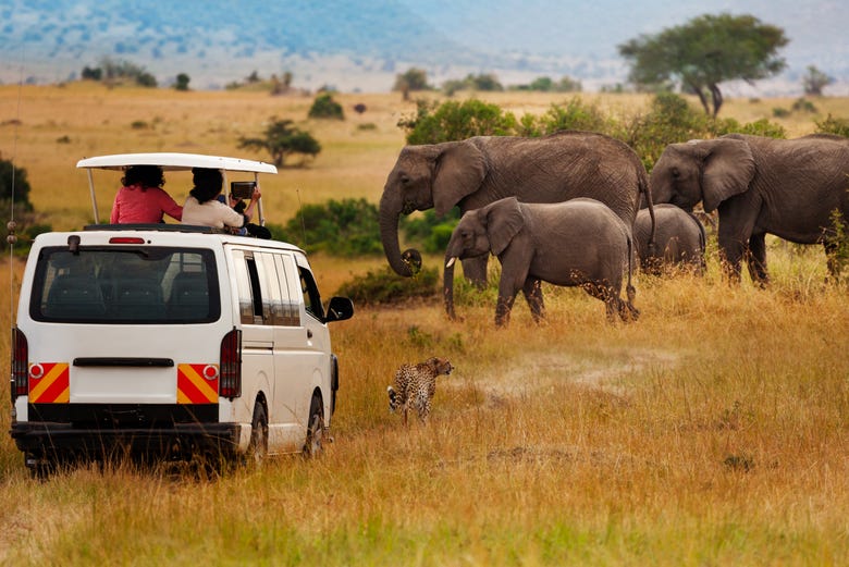 Profitez d'un safari au Kenya