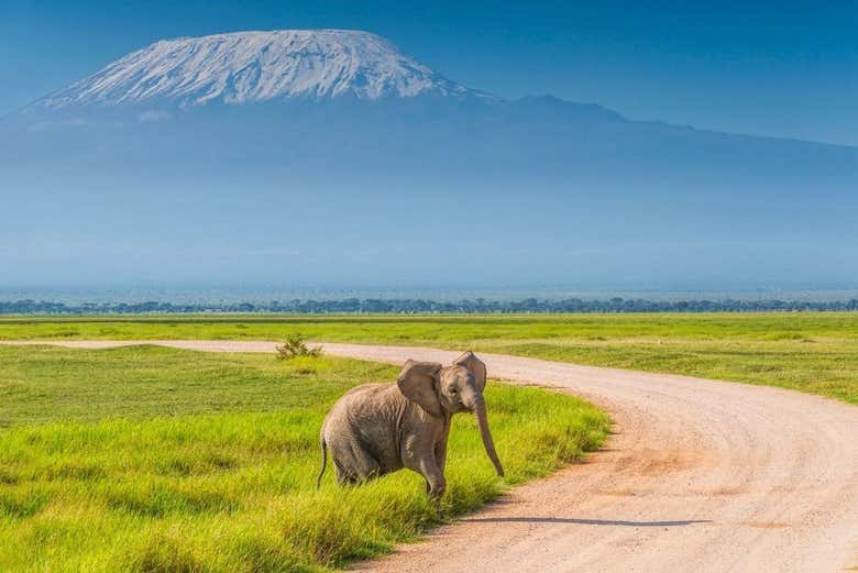 Soak up incredible views at Amboseli National Park