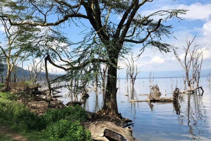 Admire Lake Nakuru's landscapes