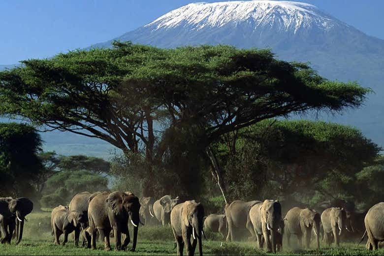 Explore Amboseli National Park