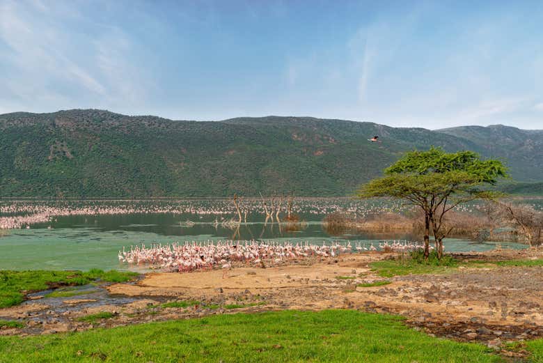 Get close-up views of the animals that live here