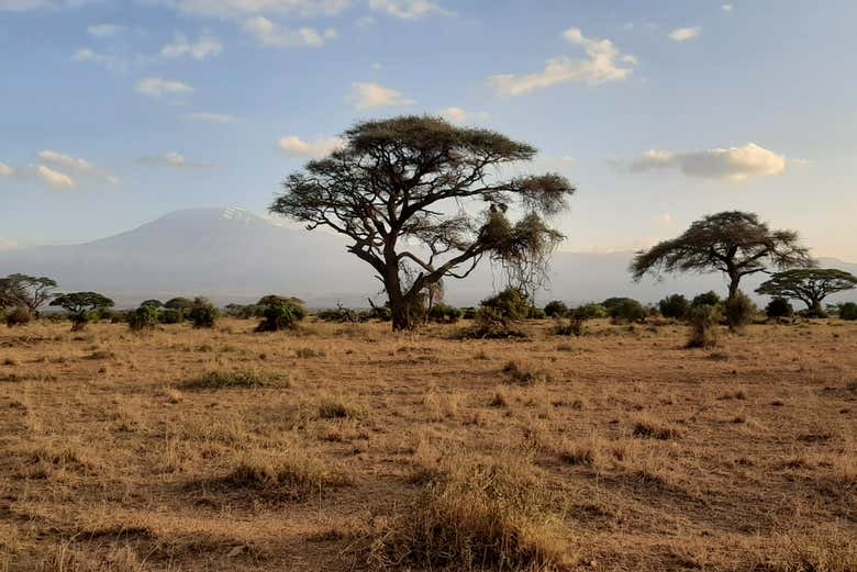 Paisajes del Parque Nacional de Amboseli