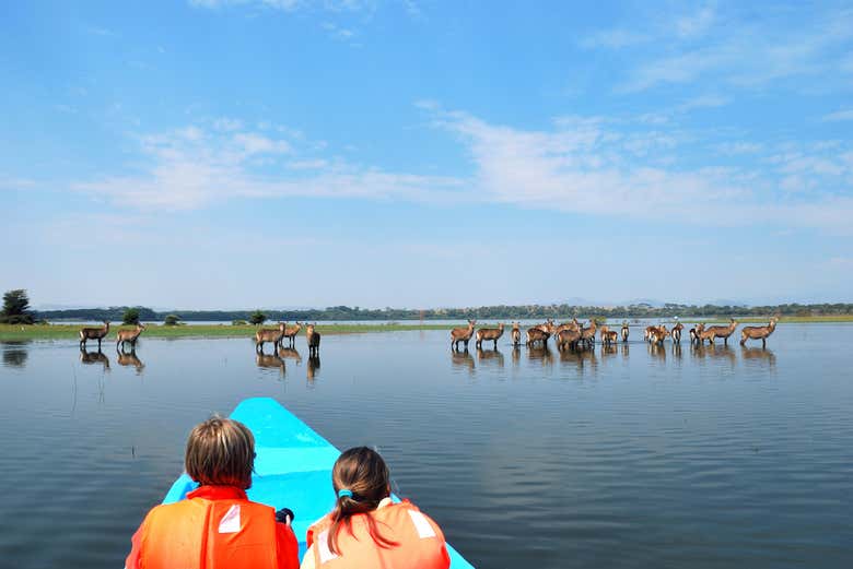 Disfrutando de un paseo en barca por el lago Naivasha