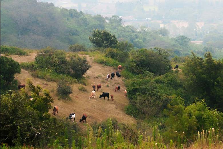 Enjoy this unique and rewarding hike