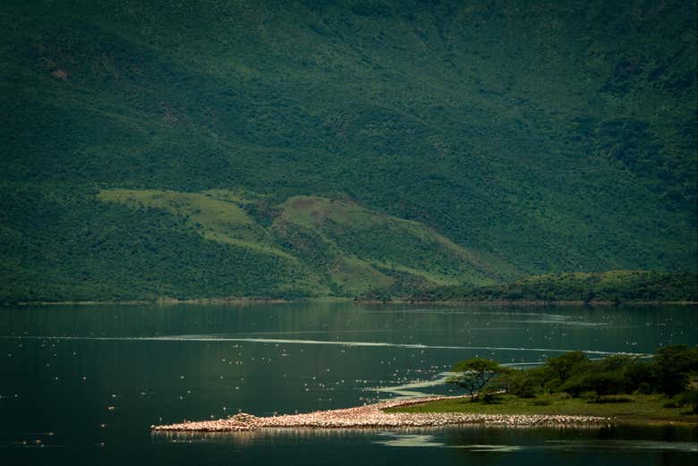 Explore some of Kenya's most important lakes