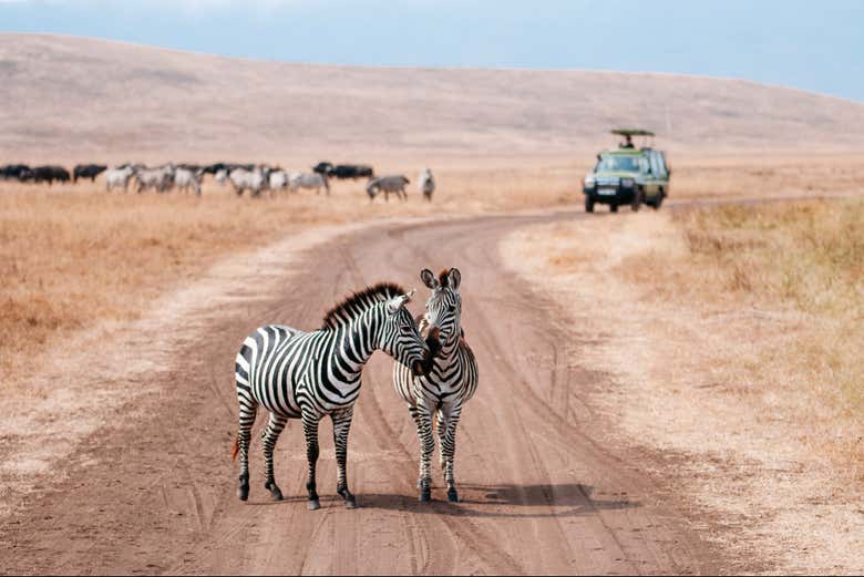 Welcome to the Masai Mara National Reserve!