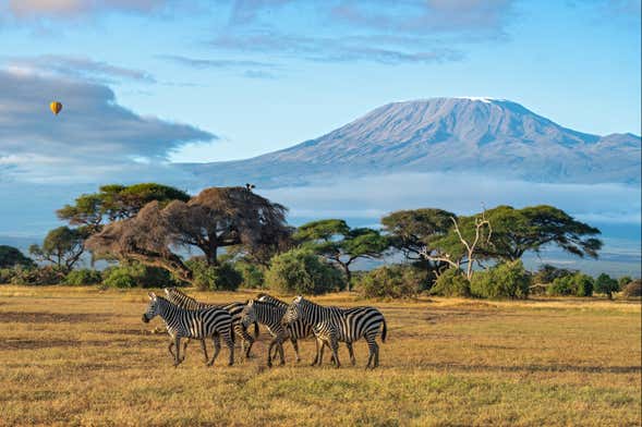 Safari de 2 días por el Parque Nacional de Amboseli