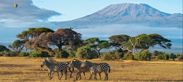 Safari de 2 días por el Parque Nacional de Amboseli