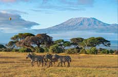Safari de 2 días por el Parque Nacional de Amboseli