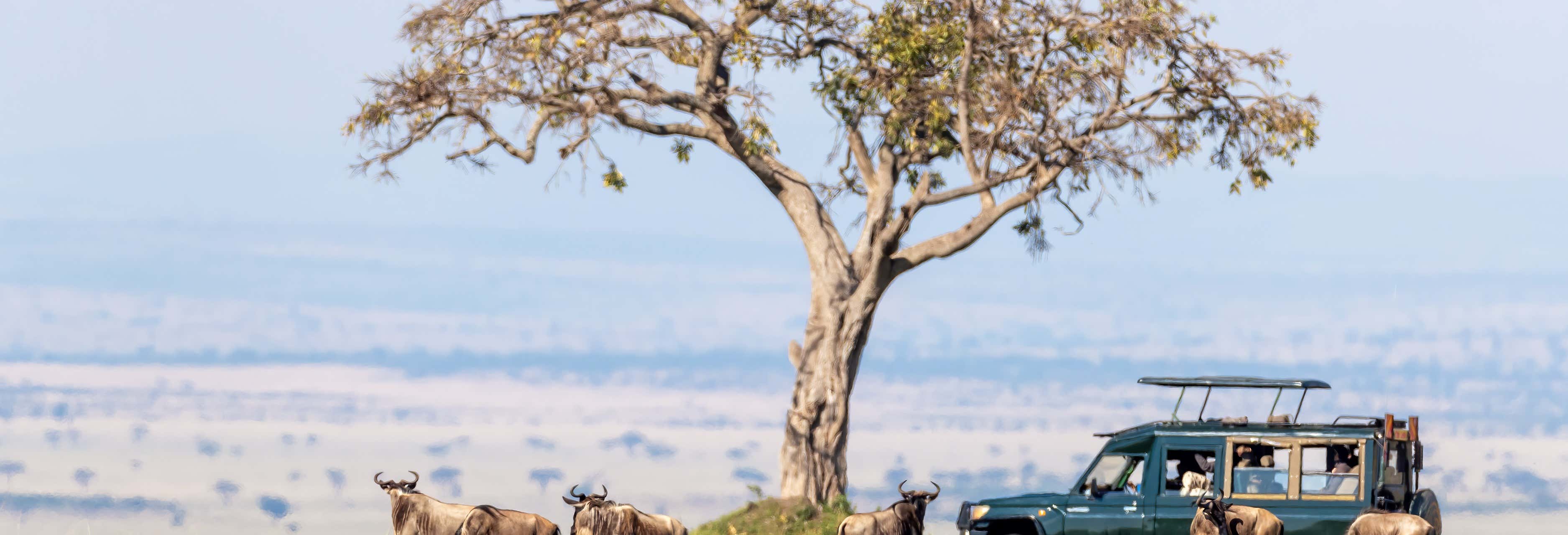 Excursiones de varios días en Nairobi