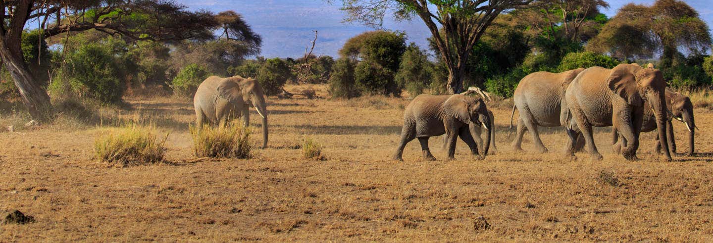 Excursiones de un día en Nairobi