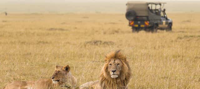 7-Day Safari to National Parks in Kenya