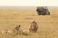7-Day Safari to National Parks in Kenya