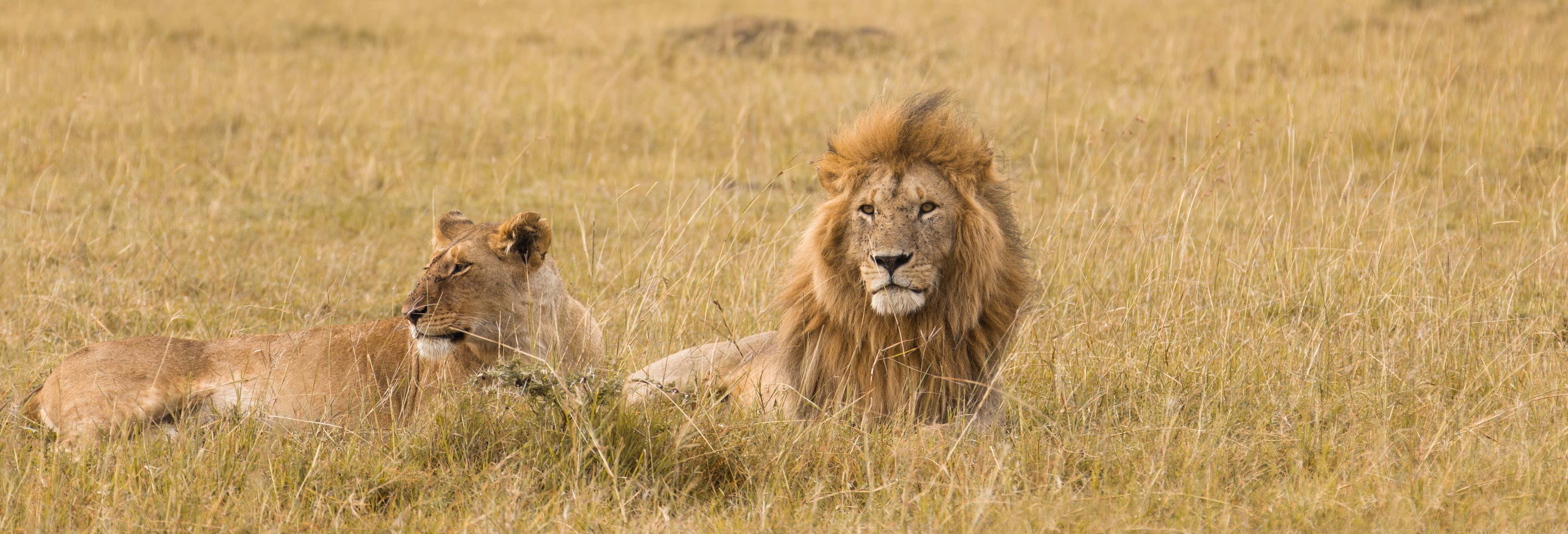 Excursiones de varios días en Nairobi
