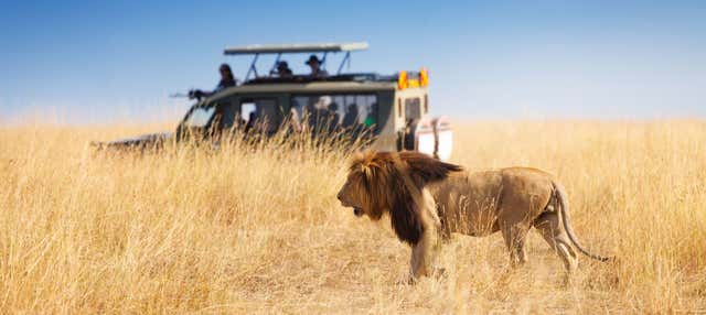 Safári privado de 6 dias por Masai Mara, Amboseli e lago Naivasha