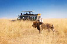 Safari privado de 6 días por Masái Mara, Amboseli y el lago Naivasha