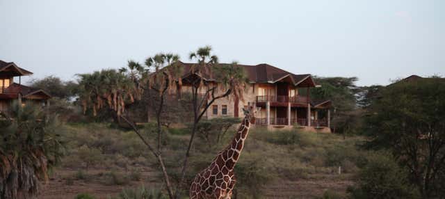 Safári privado de 2 ou 3 dias pela Reserva Nacional de Samburu