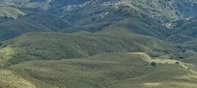 Trekking por el bosque de Kimakia
