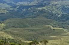 Trekking por el bosque de Kimakia