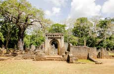 Excursão às ruínas de Gedi