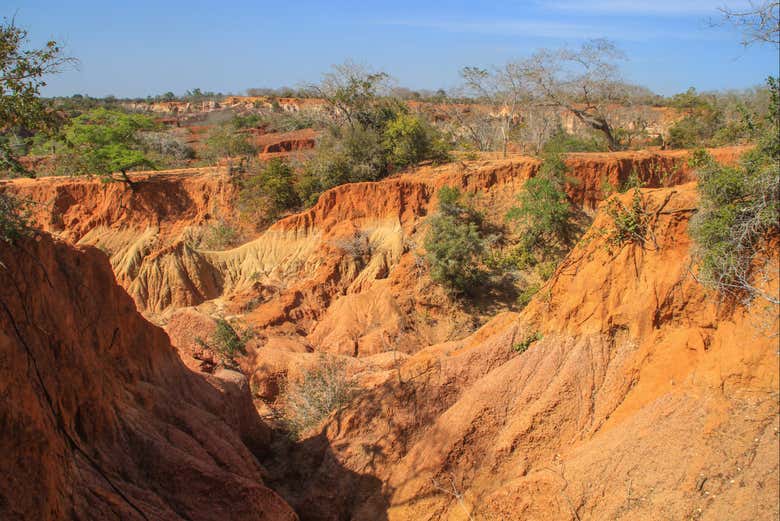 Visit Hell's Kitchen