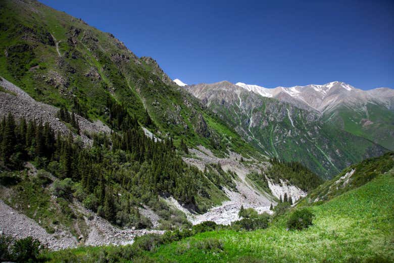 Parc national d'Ala Archa