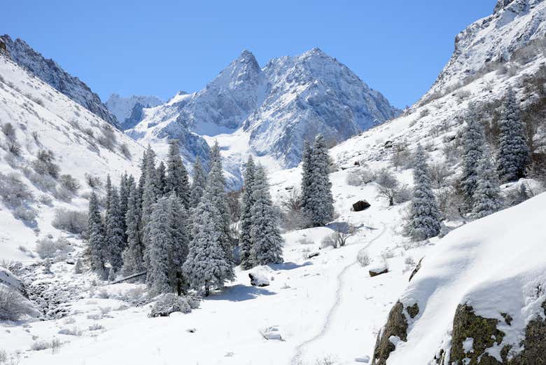 Paysage hivernal dans le parc national d'Ala Archa