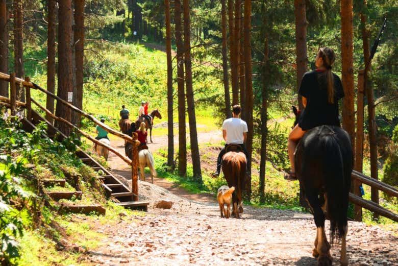 Profitez d'un circuit à cheval