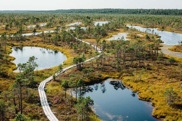 Excursión al Parque Nacional de Kemeri y Jürmala