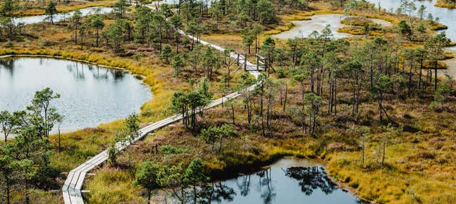 Excursão ao Parque Nacional de Kemeri e Jürmala