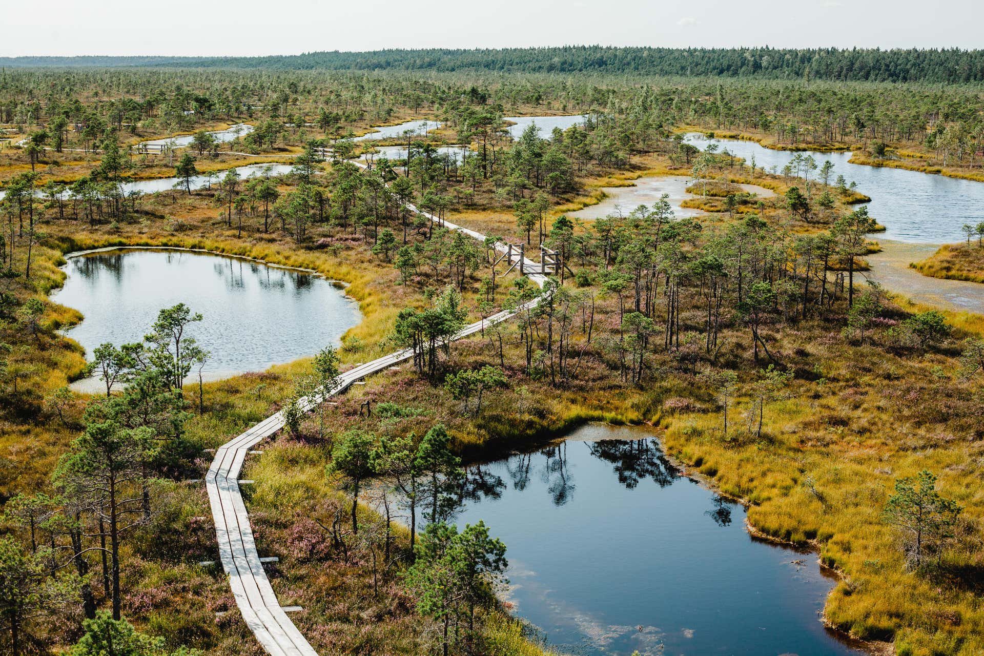 excursi-n-al-parque-nacional-de-kemeri-y-j-rmala-desde-riga