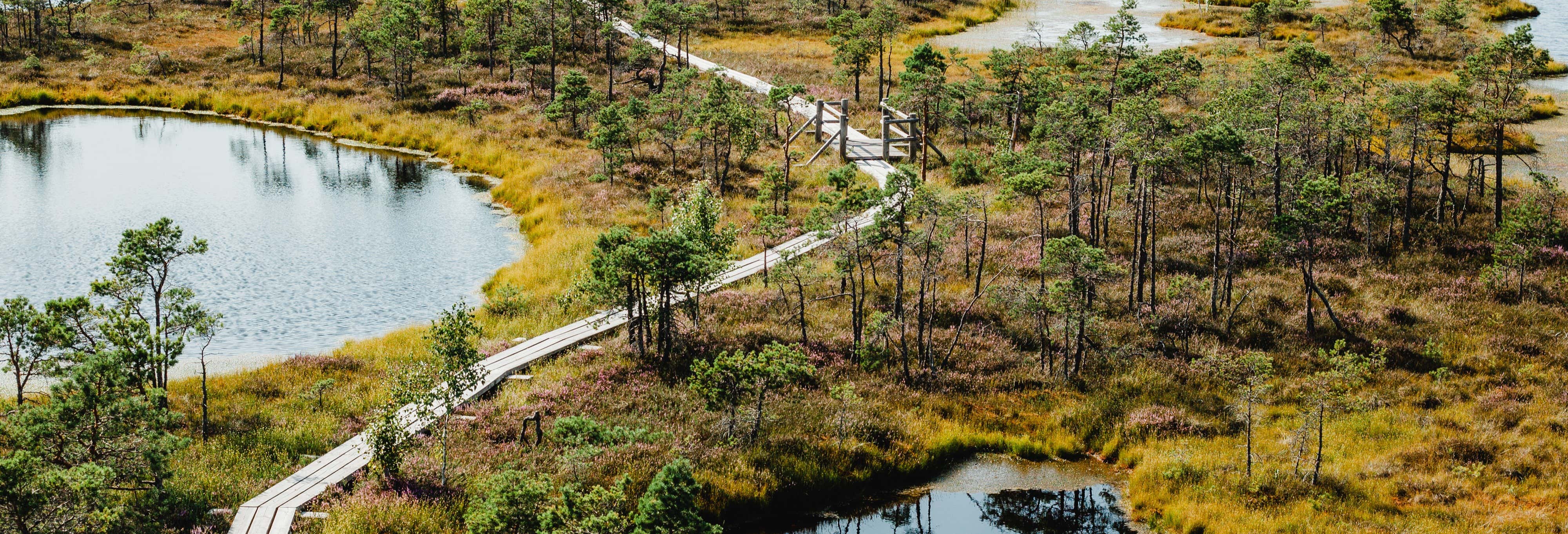 Excursions d'une journée à Riga