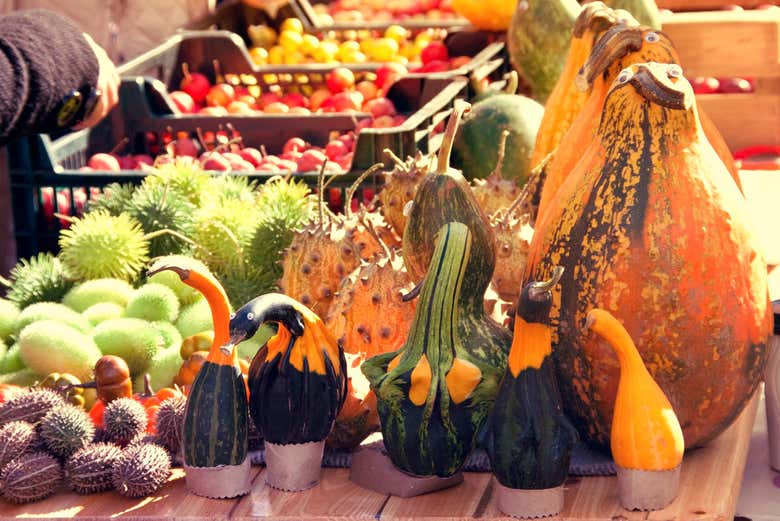 Différents types de citrouilles