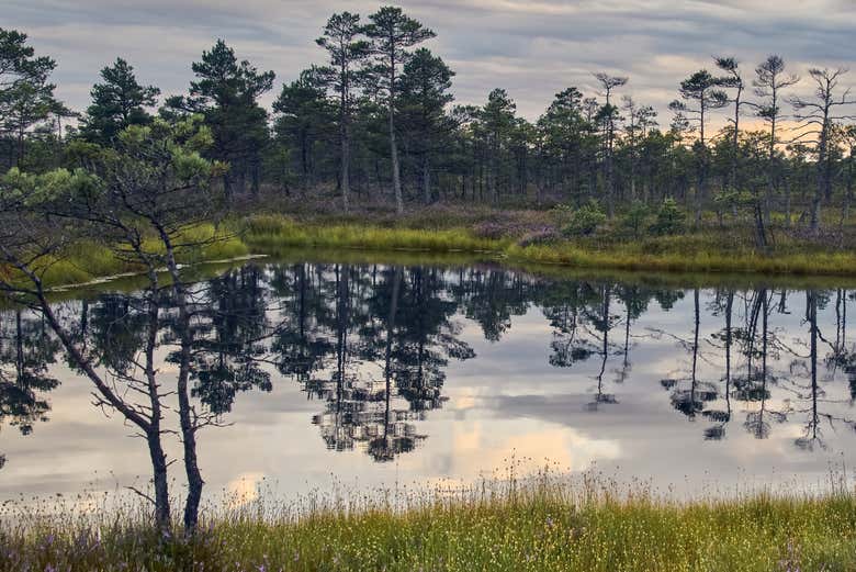 Walk through beautiful natural landscapes