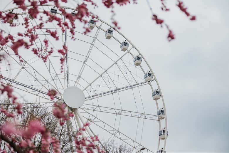 Noria Riga Rise en primavera