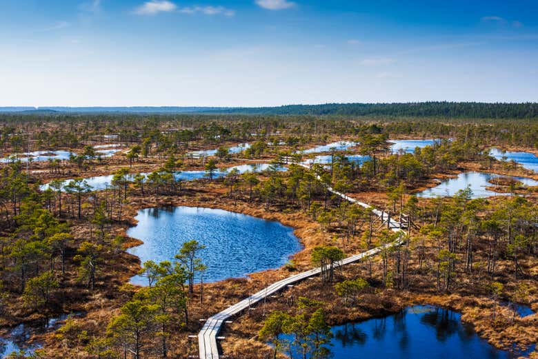 Take in beautiful natural views