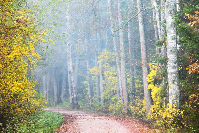 Connect with Latvia nature