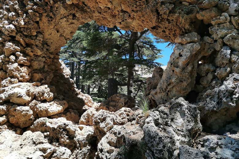 Formaciones rocosas en el bosque de los Cedros de Dios