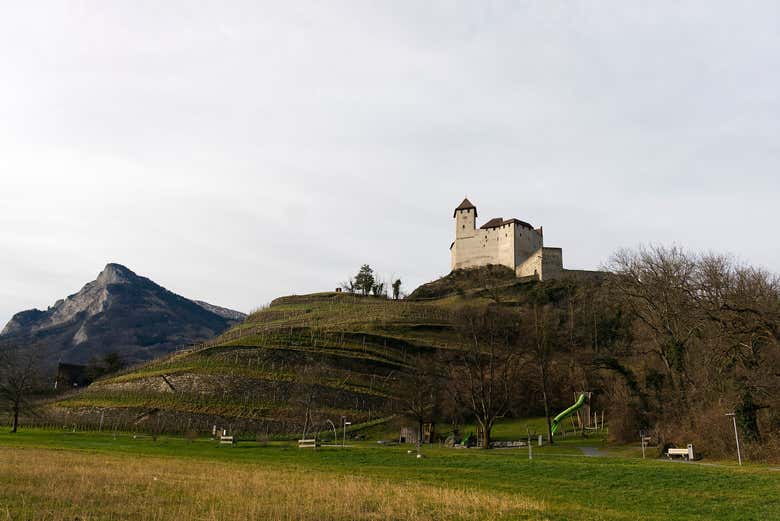 Get unique views of Vaduz Castle