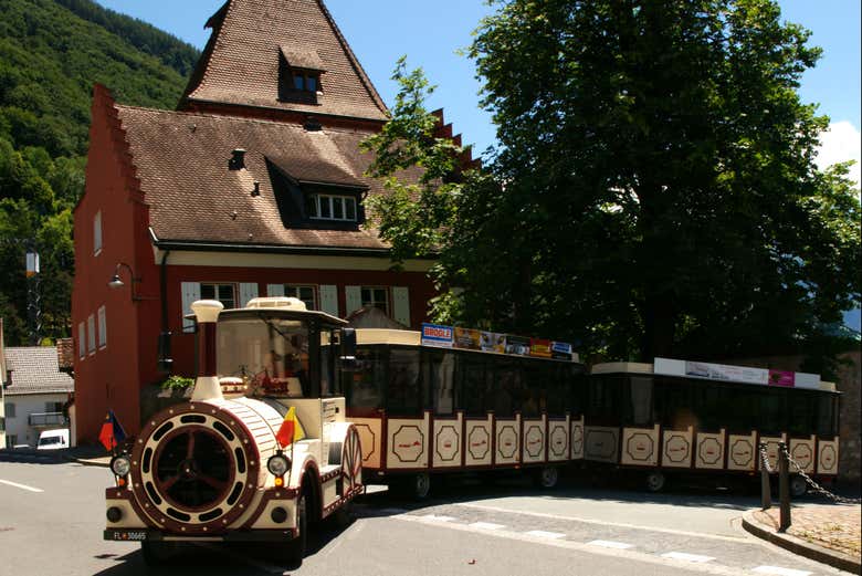 Explore Vaduz comfortably and practically