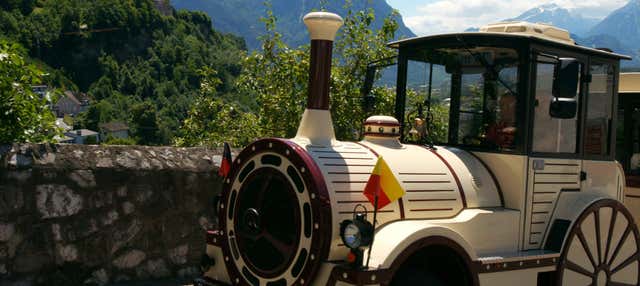 Sightseeing Train Tour of Vaduz