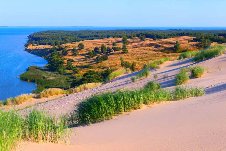 Dunes de l’isthme de Courlande dans la Réserve Naturelle