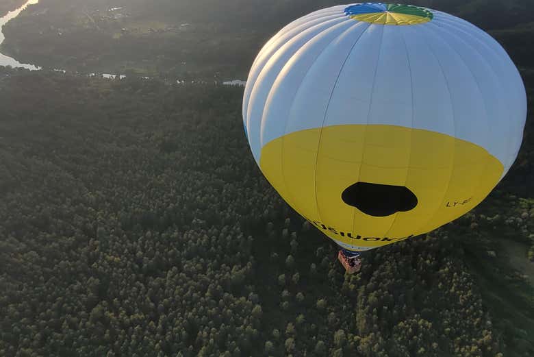 Globo sobrevolando los bosques