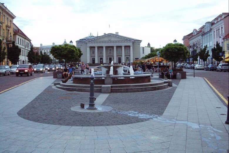 Catedral de Vilna