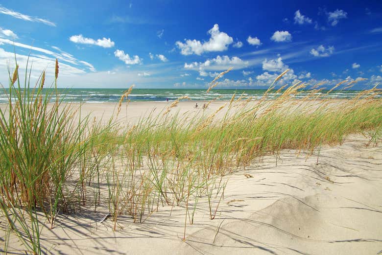 Exploring the coast of Riga